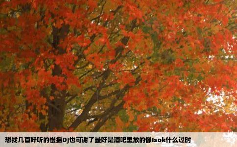 想找几首好听的慢摇DJ也可谢了最好是酒吧里放的像Isok什么过时