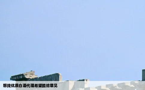 想找优质白酒代理希望能给意见