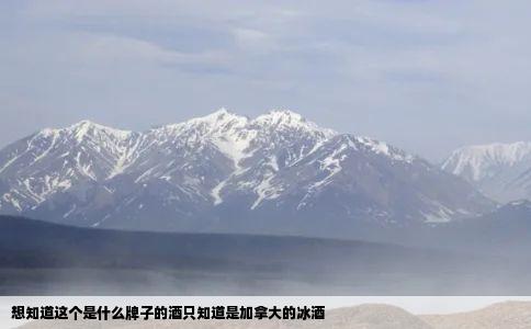 想知道这个是什么牌子的酒只知道是加拿大的冰酒