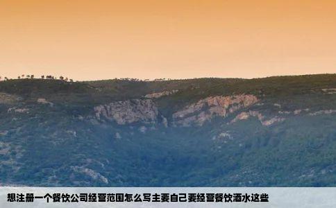 想注册一个餐饮公司经营范围怎么写主要自己要经营餐饮酒水这些