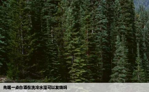 先喝一点白酒在洗冷水澡可以发烧吗