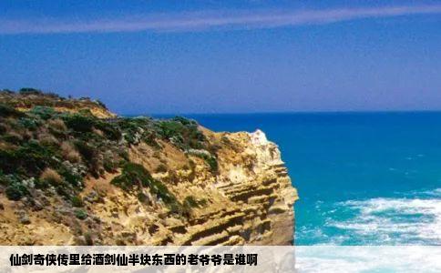 仙剑奇侠传里给酒剑仙半块东西的老爷爷是谁啊