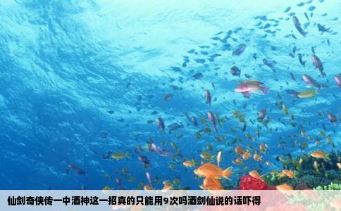 仙剑奇侠传一中酒神这一招真的只能用9次吗酒剑仙说的话吓得