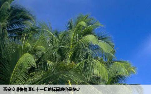 西安空港快捷酒店十一后的标间房价是多少