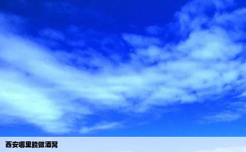 西安哪里能做酒窝