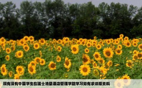 现有没有中国学生在瑞士洛桑酒店管理学院学习如有求详细资料