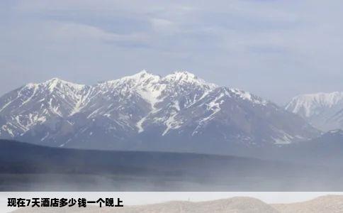 现在7天酒店多少钱一个晚上