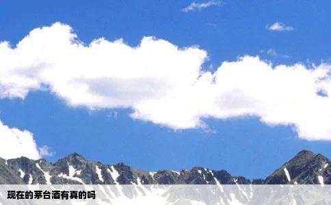 现在的茅台酒有真的吗