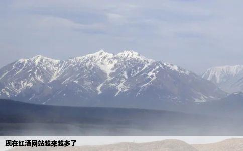 现在红酒网站越来越多了