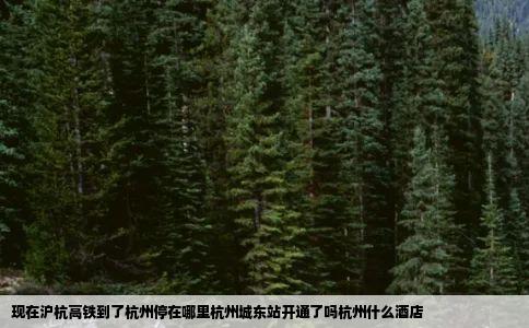 现在沪杭高铁到了杭州停在哪里杭州城东站开通了吗杭州什么酒店
