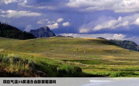 现在气温35度适合自酿葡萄酒吗