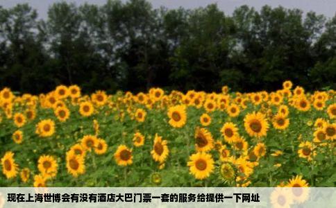 现在上海世博会有没有酒店大巴门票一套的服务给提供一下网址