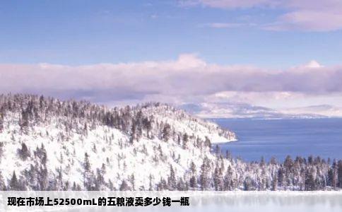 现在市场上52500mL的五粮液卖多少钱一瓶