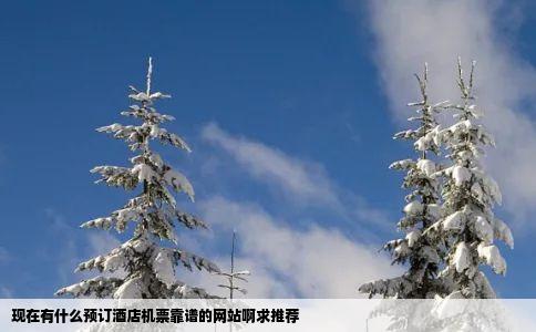 现在有什么预订酒店机票靠谱的网站啊求推荐