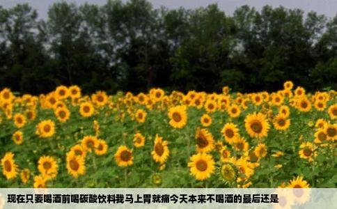 现在只要喝酒前喝碳酸饮料我马上胃就痛今天本来不喝酒的最后还是