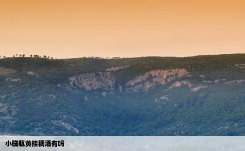 小磁瓶黄桂稠酒有吗