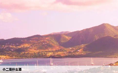 小二是什么酒