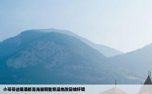 小哥哥说喝酒都是海量啊我想逗他改回啥好呢