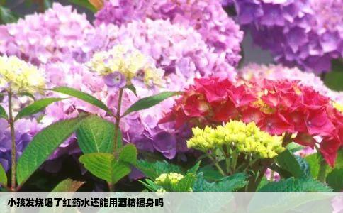 小孩发烧喝了红药水还能用酒精擦身吗