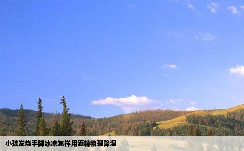 小孩发烧手脚冰凉怎样用酒精物理降温