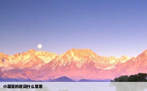 小酒窝的歌词什么意思