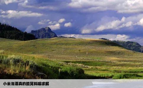 小米泡酒真的能窝料嘛求解