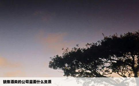 销售酒类的公司需要什么资质