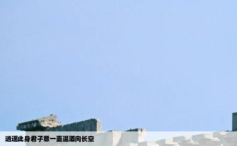 逍遥此身君子意一壶温酒向长空