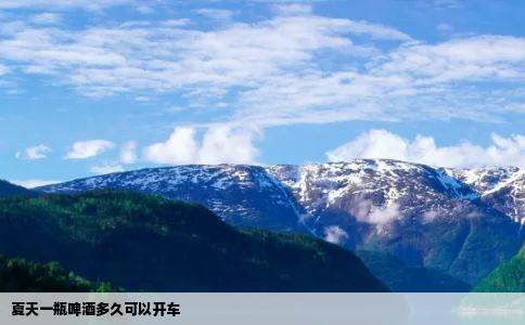 夏天一瓶啤酒多久可以开车