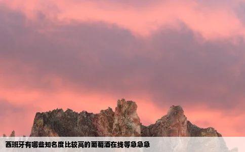 西班牙有哪些知名度比较高的葡萄酒在线等急急急