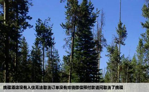 携程酒店没有入住无法取消订单没有给钱微信预付款请问取消了携程