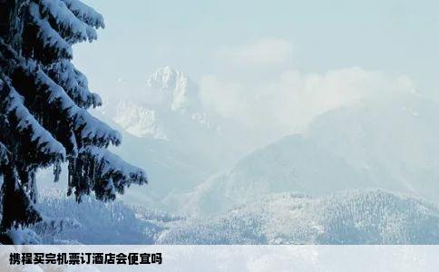 携程买完机票订酒店会便宜吗