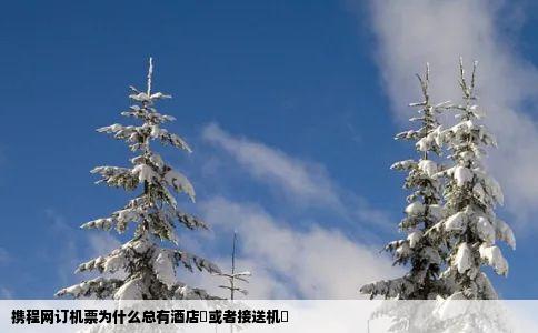 携程网订机票为什么总有酒店劵或者接送机劵