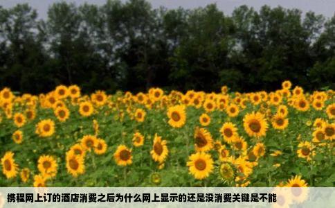 携程网上订的酒店消费之后为什么网上显示的还是没消费关键是不能