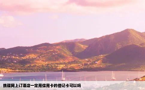 携程网上订酒店一定用信用卡的借记卡可以吗