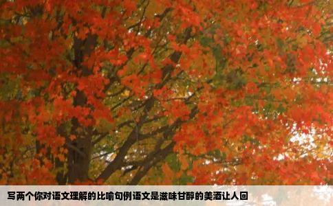 写两个你对语文理解的比喻句例语文是滋味甘醇的美酒让人回