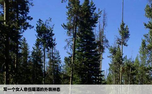 写一个女人悲伤喝酒的外貌神态