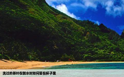 洗过的茶叶在倒水时如何留在杯子里