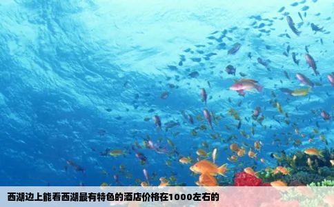 西湖边上能看西湖最有特色的酒店价格在1000左右的