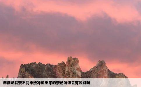 西湖龙井茶不同手法冲泡出来的茶汤味道会有区别吗
