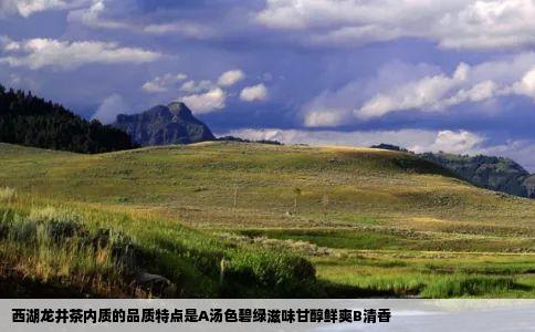 西湖龙井茶内质的品质特点是A汤色碧绿滋味甘醇鲜爽B清香