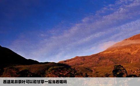 西湖龙井茶叶可以和甘草一起泡着喝吗