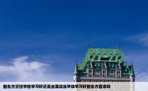 新东方烹饪学校学习好还是去酒店当学徒学习好新东方靠谱吗