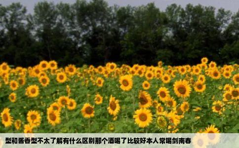 型和酱香型不太了解有什么区别那个酒喝了比较好本人常喝剑南春