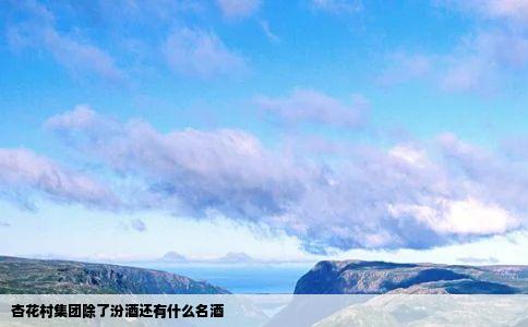 杏花村集团除了汾酒还有什么名酒