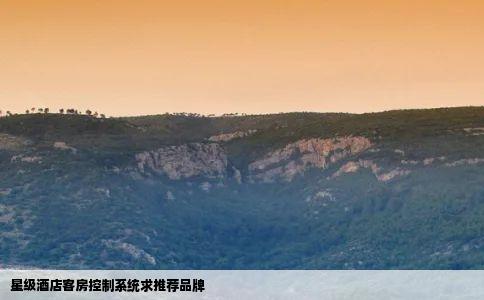 星级酒店客房控制系统求推荐品牌