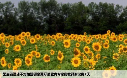 型连锁酒店不知加盟哪家更好请业内专家指教拜谢汉庭7天