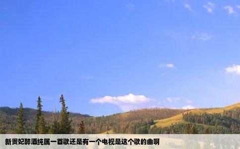 新贵妃醉酒纯属一首歌还是有一个电视是这个歌的曲啊