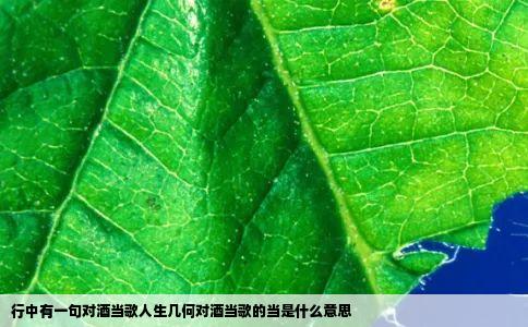 行中有一句对酒当歌人生几何对酒当歌的当是什么意思