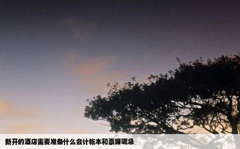 新开的酒店需要准备什么会计帐本和票据呢急